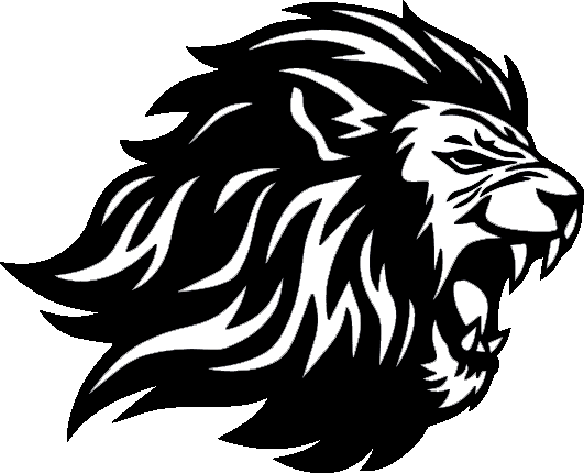 NET-atak Conan.Heman